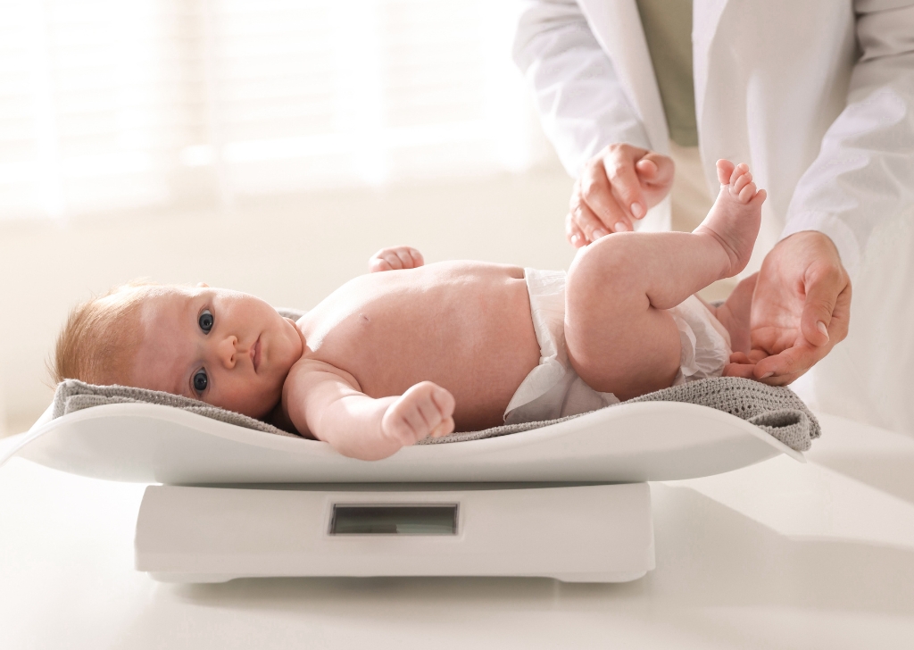 Các dòng cân điện tử và cơ học bán chạy